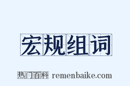 宏规组词是什么意思的图片